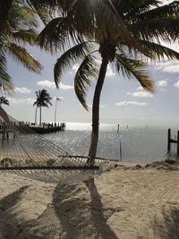 Palm trees on beach against sky