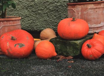 Close-up of orange pumpkins against stone wall