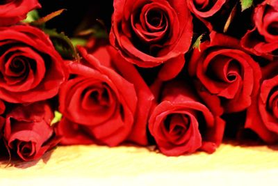 Close-up of red roses