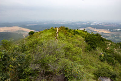 High angle view of plants on landscape against sky