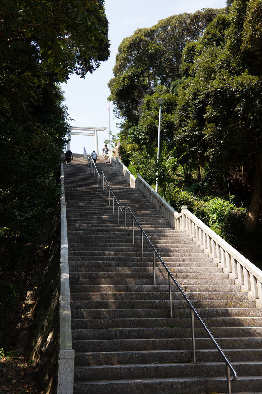 LOW ANGLE VIEW OF STAIRCASE BY TREES AGAINST SKY