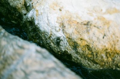 Close-up of water flowing through rocks