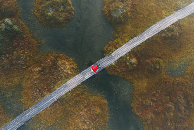 High angle view of road by plants during autumn