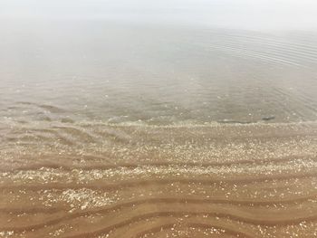 Close-up of sea shore against sky