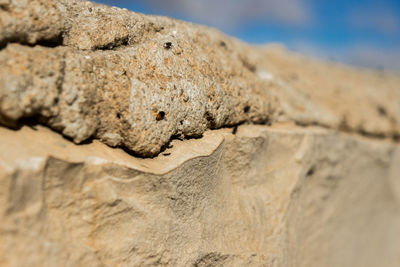 Close-up of old weathered wall