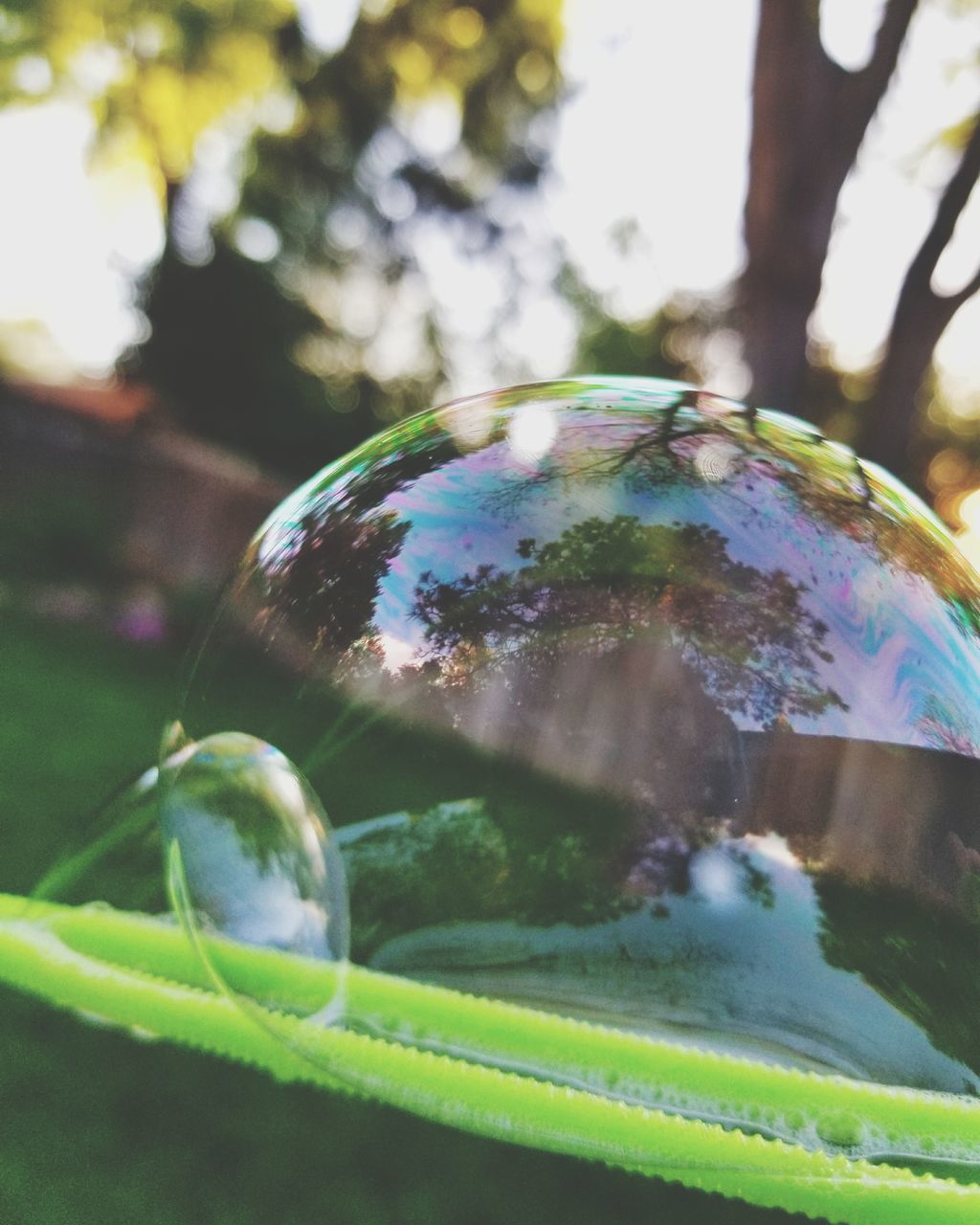 CLOSE-UP OF WATER DROP ON LEAF OUTDOORS