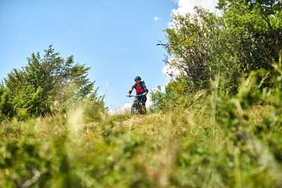 Rear view of woman amidst plants against sky