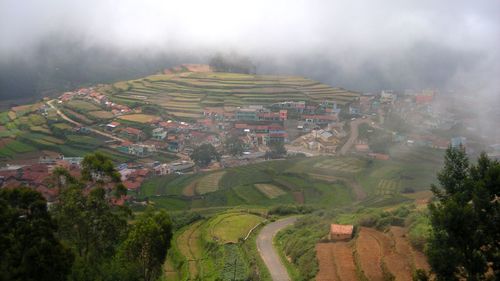 Aerial view of agricultural field