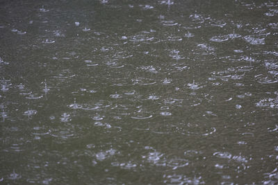 Full frame shot of raindrops on water surface