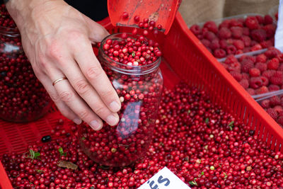 Red fresh healthy cranberries and lingonberries in a street food market ready for selling and eat