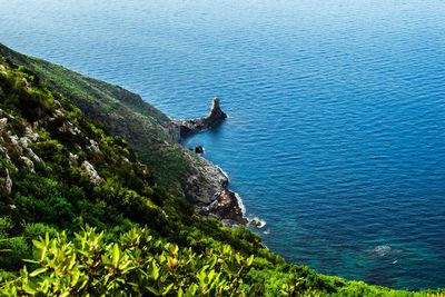 High angle view of bird by sea