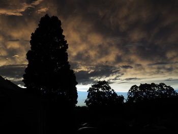 Silhouette trees against cloudy sky