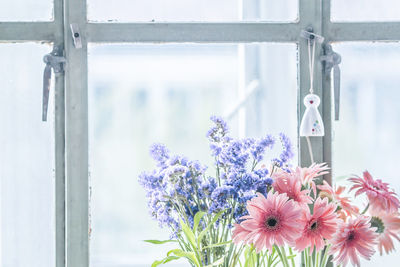 Close-up of flowers against window