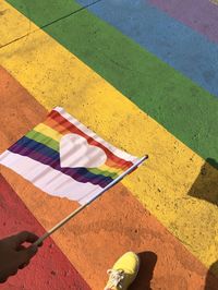 Low section of man holding rainbow flag