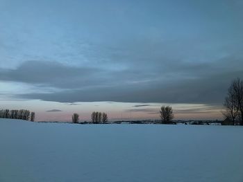 Bare trees on snow landscape against sky
