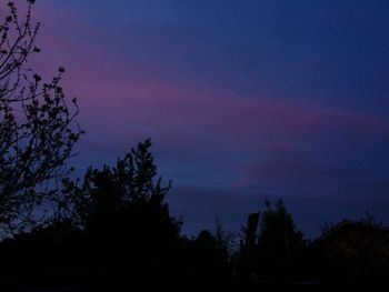 Silhouette trees against sky at night