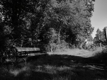 View of empty bench on field in forest