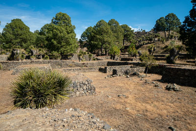Cantona, puebla, mexico - a mesoamerican archaeoligical site with only few visitors