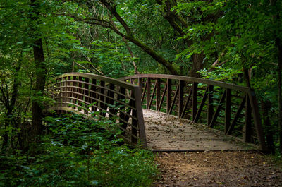 Footbridge amidst trees in forest