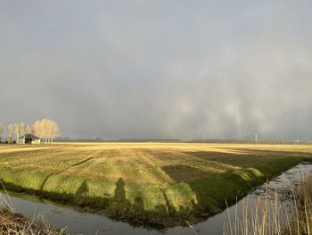 Scenic view of agricultural field against sky