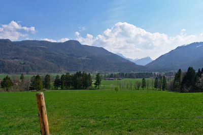 Scenic view of field against sky