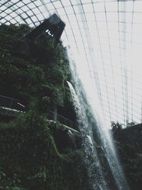 Plants growing in greenhouse against sky