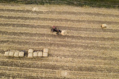 High angle view of working on field