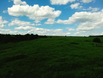 Scenic view of grassy field against sky