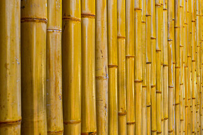 Full frame shot of bamboo