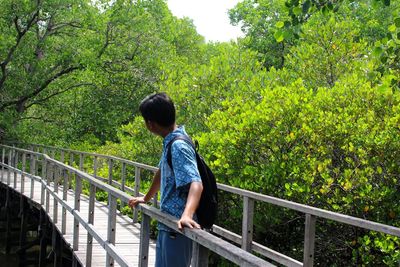 Rear view of boy standing on footbridge