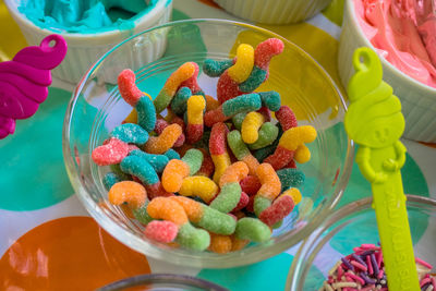 High angle view of multi colored candies