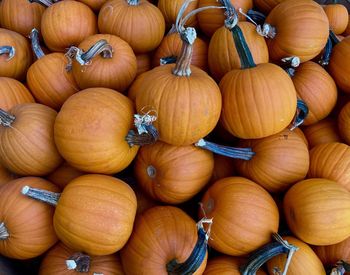 Full frame shot of pumpkins in market