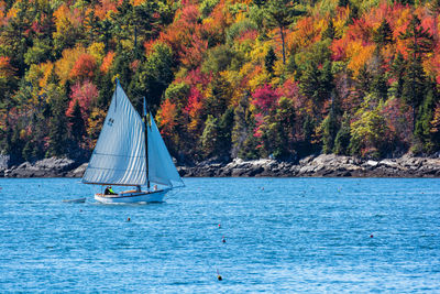 Sailboat sailing in sea against sky during autumn