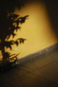 Close-up of yellow water