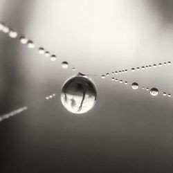 Close-up of raindrops on water