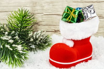 Close-up of christmas tree in snow