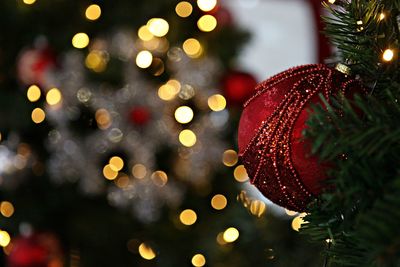 Close-up of illuminated christmas tree