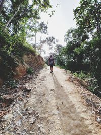 Rear view of man walking amidst trees