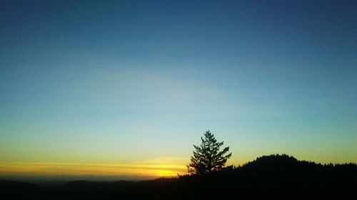 Silhouette trees against clear sky at sunset