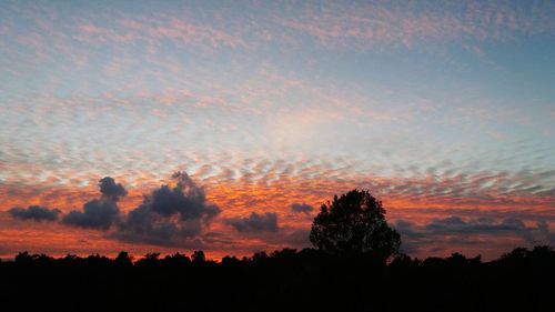 Silhouette trees against dramatic sky during sunset