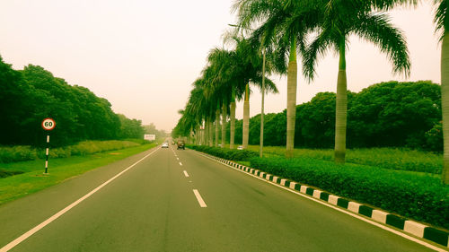 Road by palm trees against clear sky