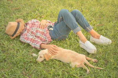 Low section of dog relaxing on grass