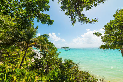 Scenic view of sea against sky