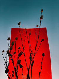 Low angle view of red flowering plant against clear sky