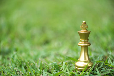 Close-up of chess piece on grassy field