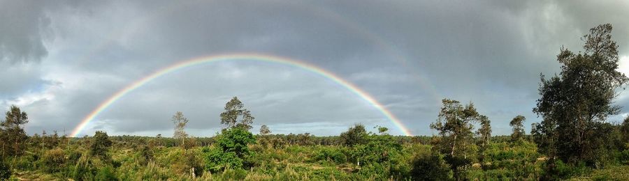 rainbow