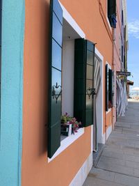 Potted plants on wall of building