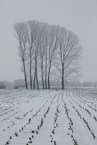 Bare trees on snow covered field against sky