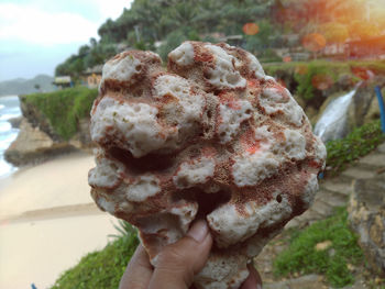 Close-up of hand holding ice cream