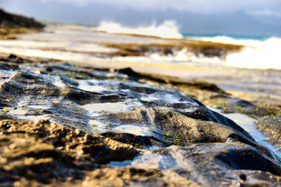 Surface level of landscape